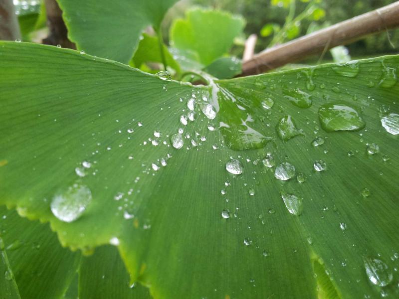 我与我周旋久<br>qyf5seag.cn 宁作我